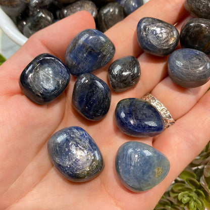 Sapphire Tumbled Pocket Stone - India - High Quality